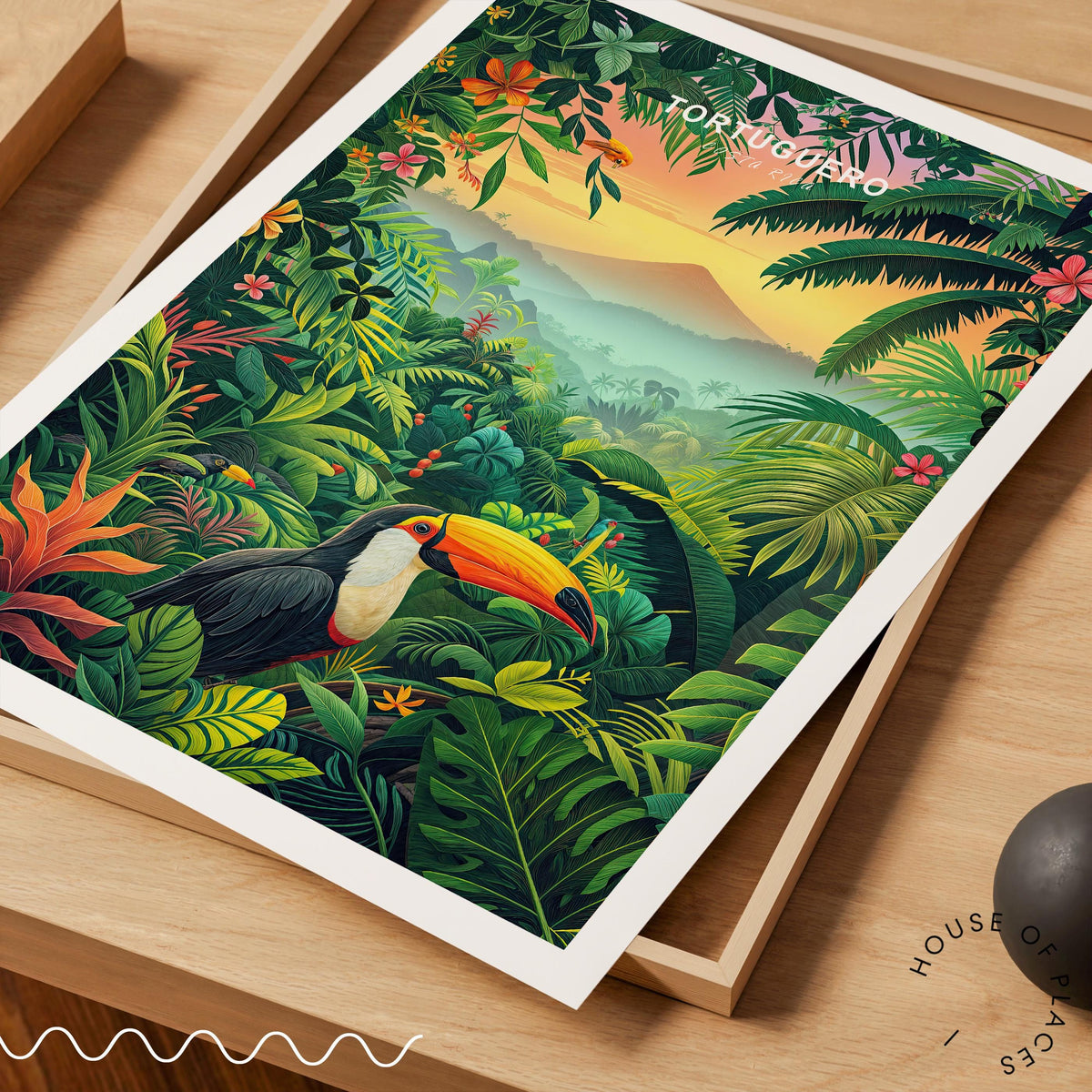 Tortuguero travel poster – view 5