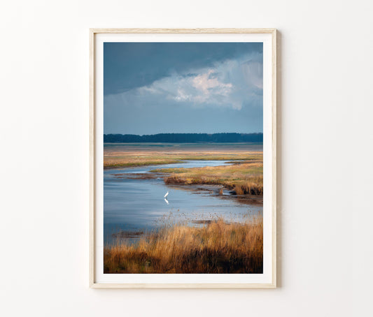 Biebrza National Park Travel Poster – Wetlands Landscape Nature Wall Art Print