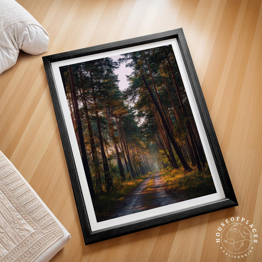 Kampinos National Park Poland Forest Path travel poster – view 2