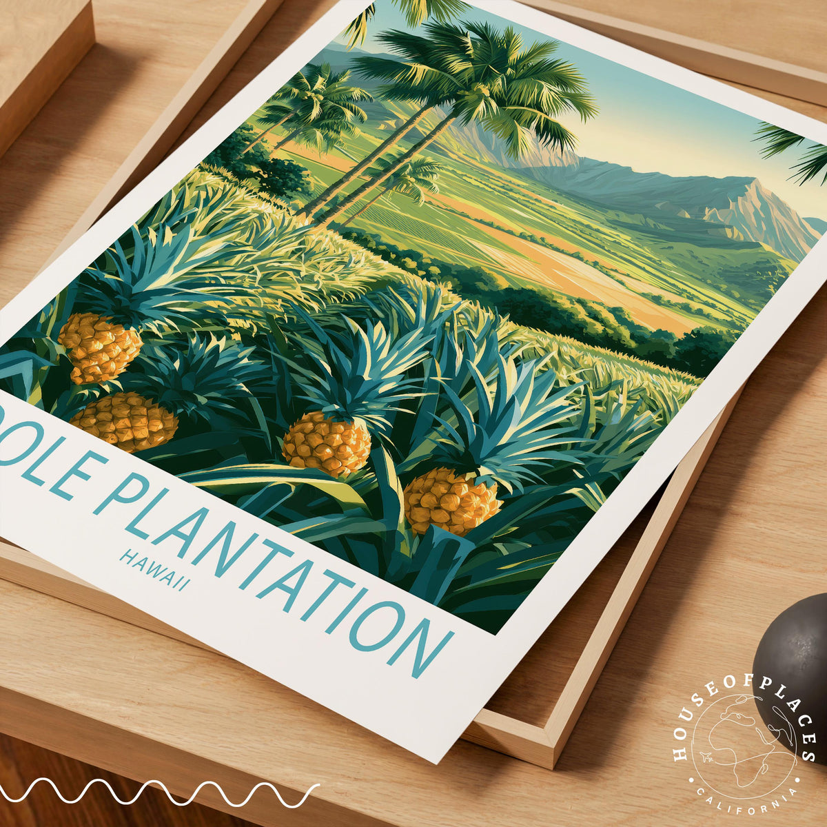 Dole Plantation travel poster – view 7