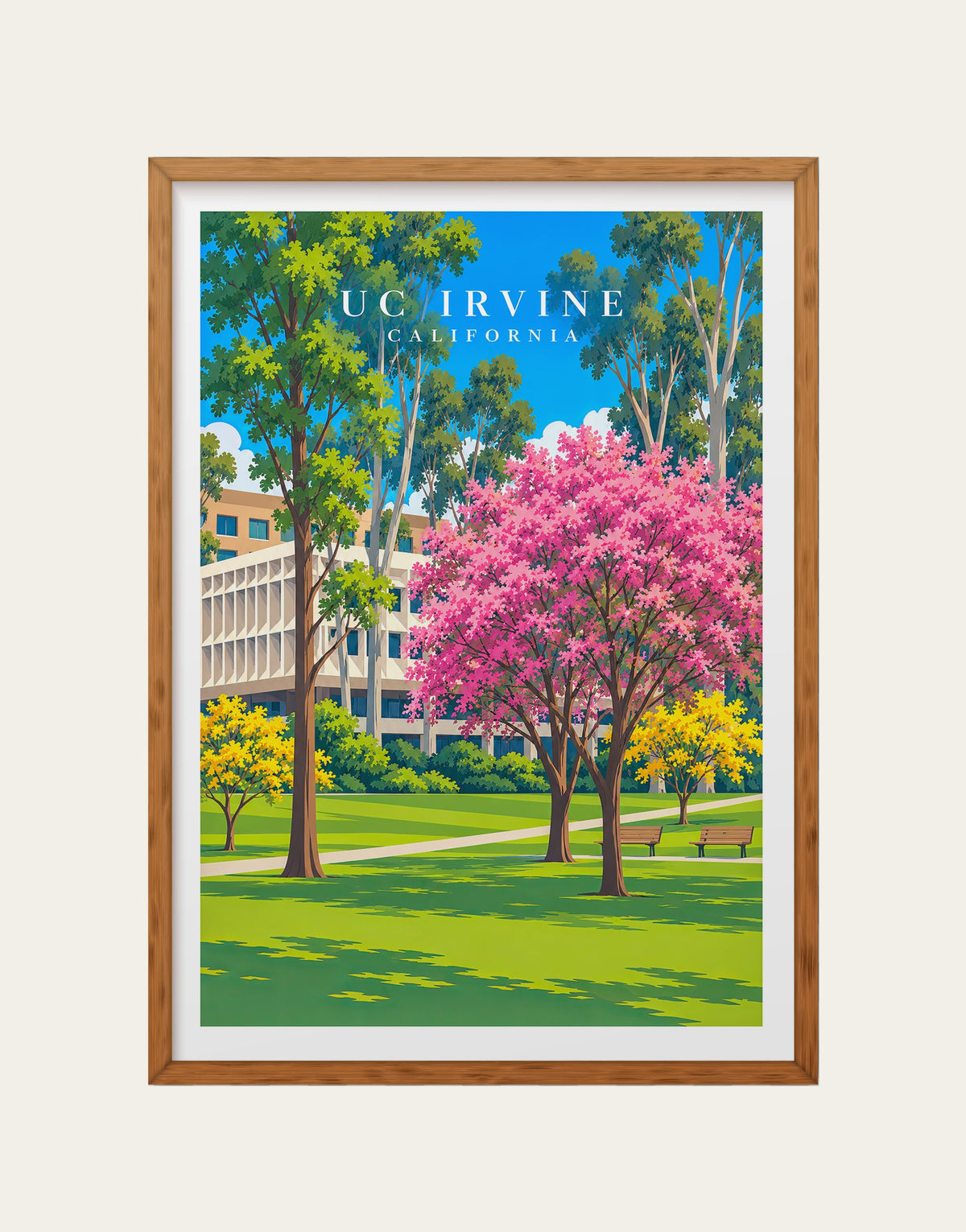 UC Irvine California campus travel poster in a natural wood frame – pink blooming tree, golden trees and eucalyptus in front of campus architecture
